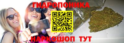 круглые Гай