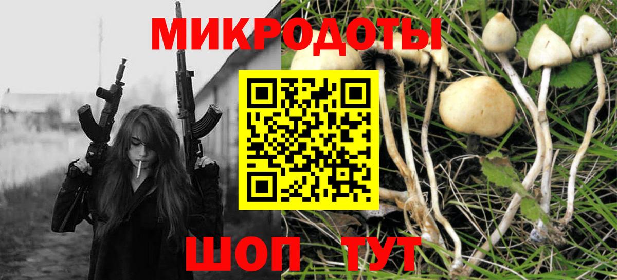 Нарткала  Галлюциногенные грибы Psilocybine cubensis  Вход с VPN  Псилоцибиновые грибы Psilocybe 