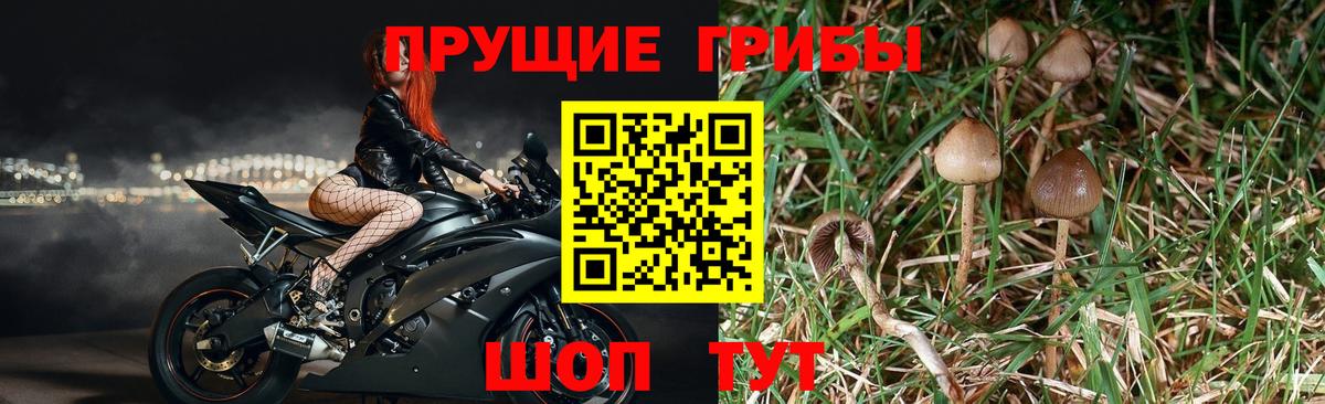 Псилоцибиновые грибы ЛСД Нарткала