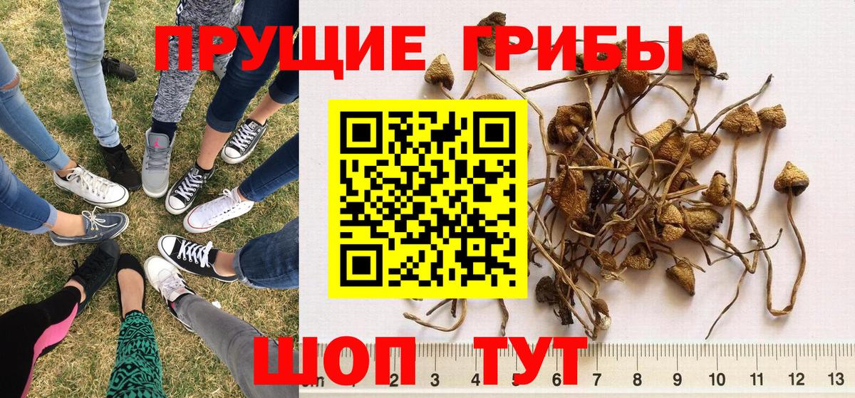 БУТИРАТ Нарткала