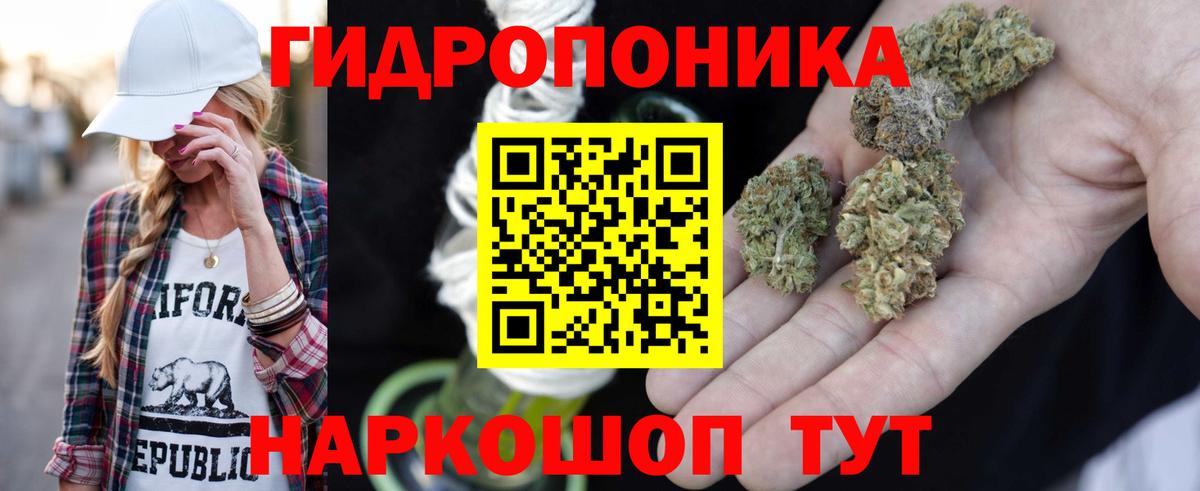Конопля планчик  МАРИХУАНА MAZAR  Нарткала  Вход с VPN 